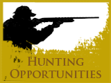 hunting opportunities
